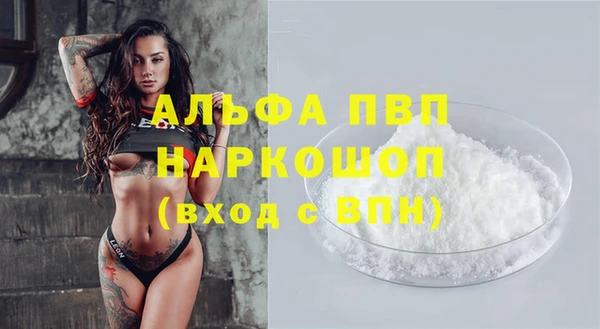 стаф Краснослободск