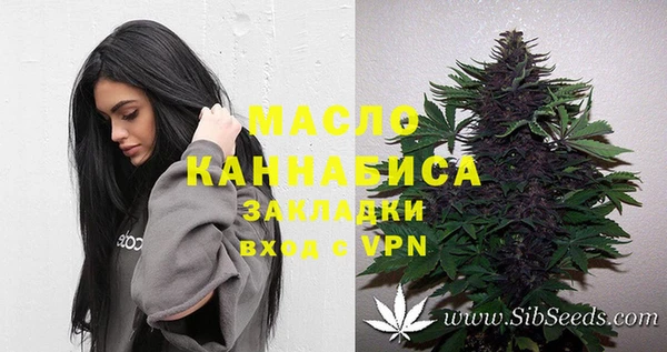стаф Краснослободск