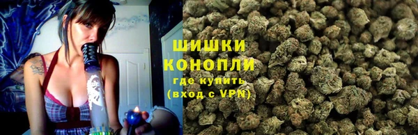 стаф Краснослободск